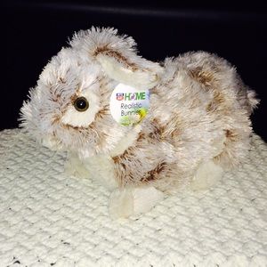 Stuffed Bunny