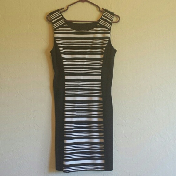 NWT Express Dress