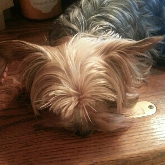 My baby wants to help me posh!