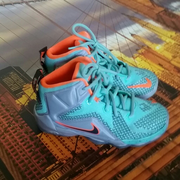 Kids Nike Lebron 12