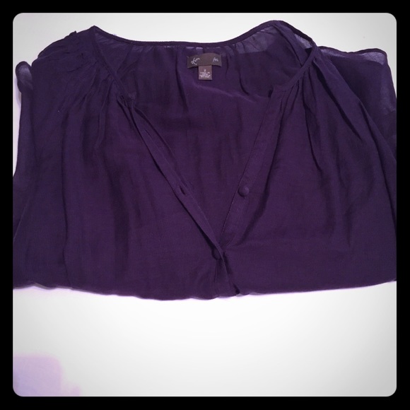 Sheer Blouse