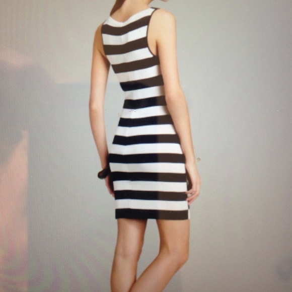 Gorgeous Summer Theory Dress - Picture 2 of 3