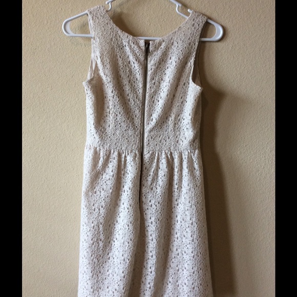 LOFT Lace Beige dress 💗 - Picture 2 of 3