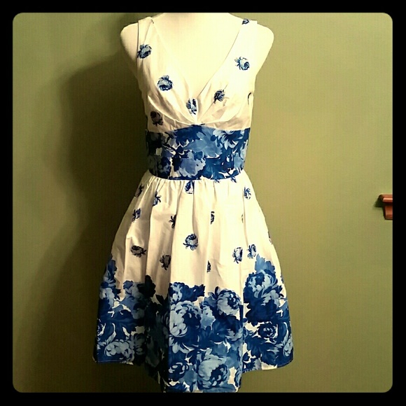 White & Blue Flower Dress