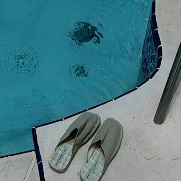 Made in Spain.by andre assous.Size 9.Almost New