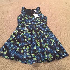Gorgeous Joie Dress