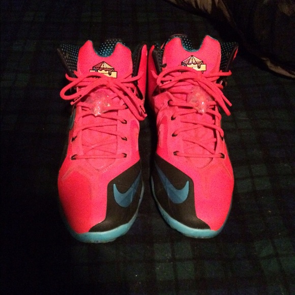 Lebron 11 Elite "Hero" - Picture 2 of 3