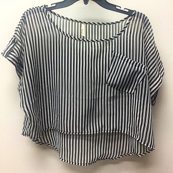 Sheer Crop Top | Black & White Striped