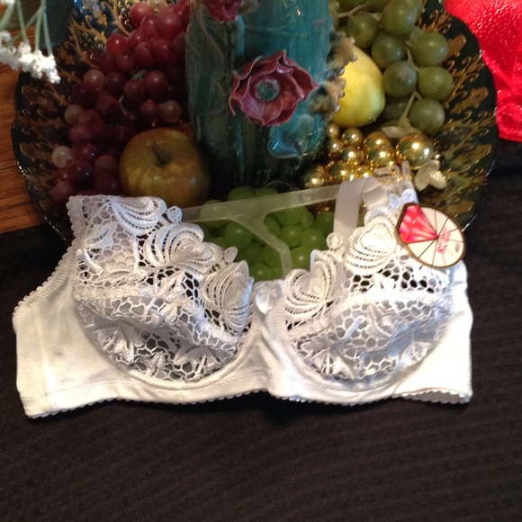 Embroidered Lace Bra - Picture 2 of 4