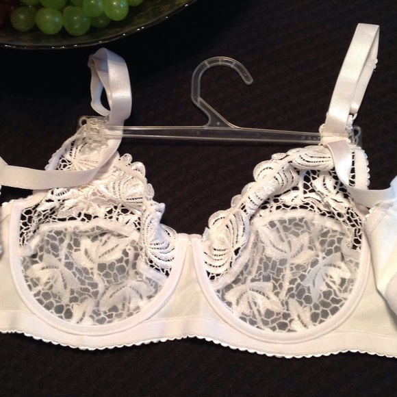 Embroidered Lace Bra - Picture 3 of 4