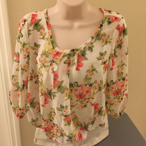 Sheer Long Sleeve Top EUC