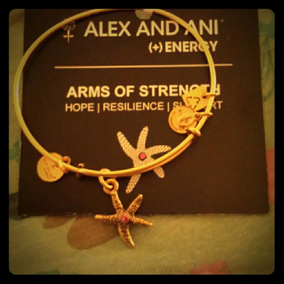 Alex and Ani Arms of Strength Pink Jewel (Retired)