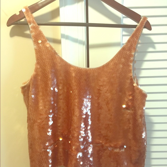 BCBG Crop Top