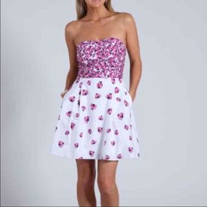 NWOT Lilly Pulitzer Ladybug Dress 0