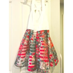 fun and flirty ark & co dress