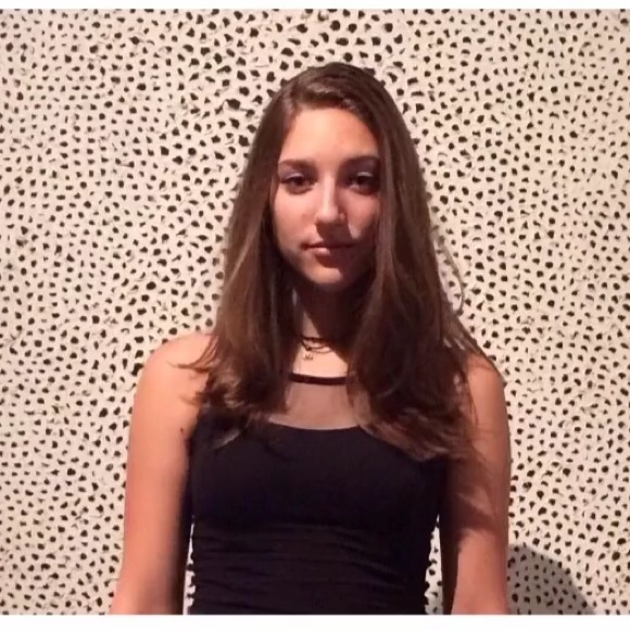 Brandy Melville mesh top crop top