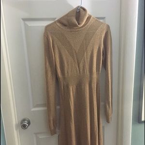 Sparkly H&M dress.  Perfect for the holidays!