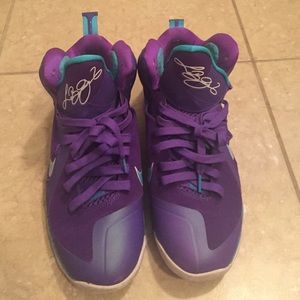Lebron 9s "hornets"