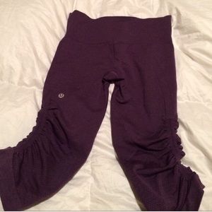 Dark purple In the flow crops