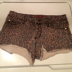 Leopard print shorts, size small