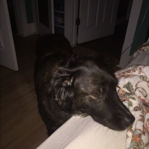 Pink and Blue Bundle