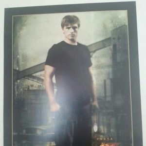 2012 Petta  Hunger games poster