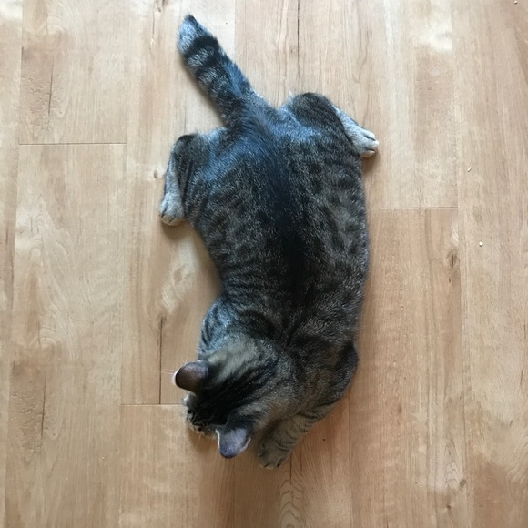 Grand Re-opening! - Picture 4 of 6