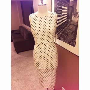 NWT Zara Retro Fit Below the Knee Length Dress