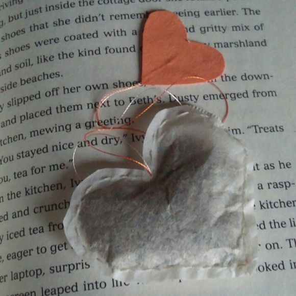 Heart Shaped Tea Bags