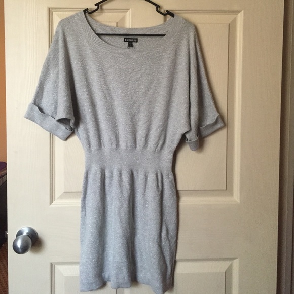 Express sweater dress