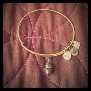 Alex and Ani Charm Bangle