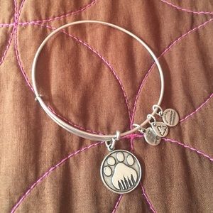 Alex and Ani Bangle