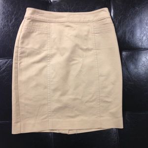 Ann Taylor Skirt