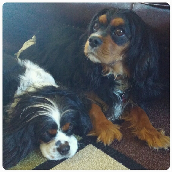 ❤PLEASE SHARE❤ - Picture 2 of 2