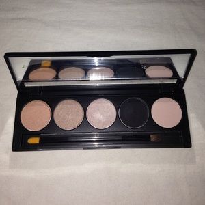 5 pan pro palette  mineral eyeshadows 1.5g