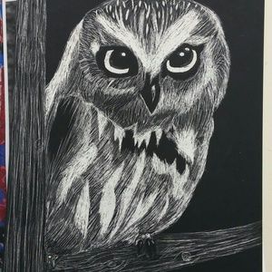 Owl scratchboard