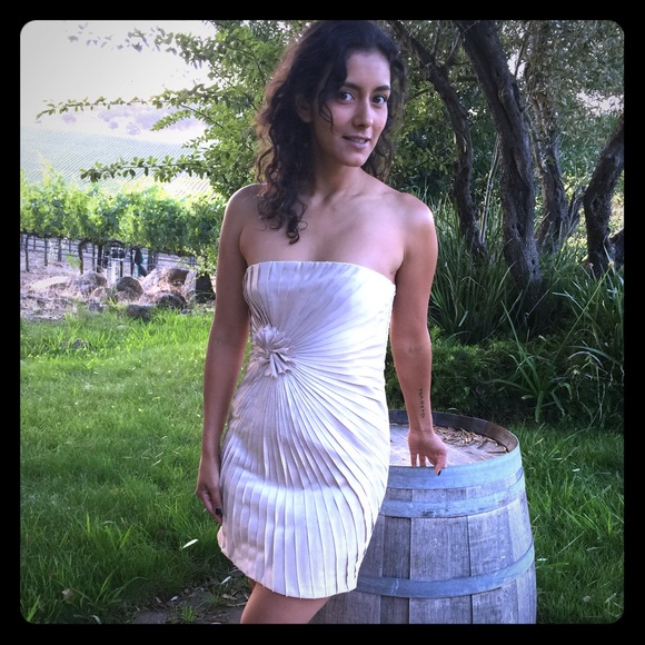 Fabulous Minuet Dress