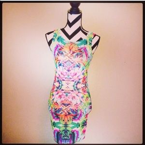 Fitted Abstracted Summer/Spring Dress