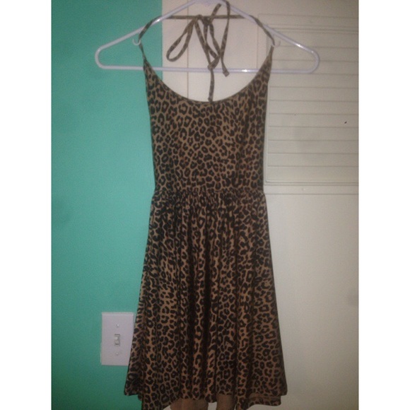 American Apparel Cheetah Skater Dress