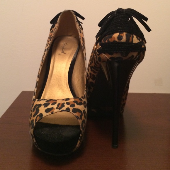 Cheetah pumps
