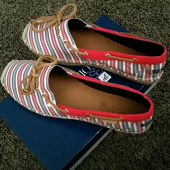 Sperry Top Spider