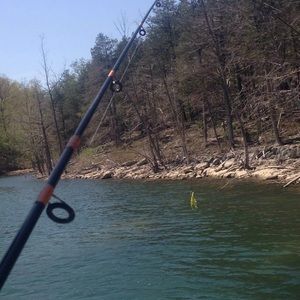 no shipments till July 28