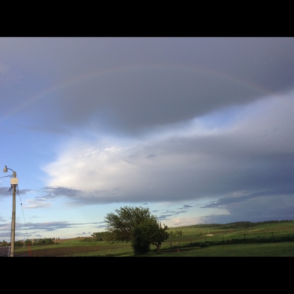 Meet your Posh Amabassador - Picture 2 of 4