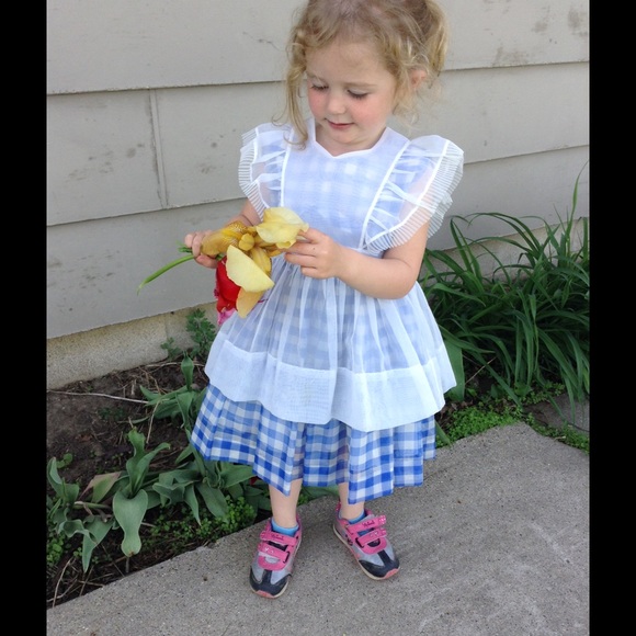 Meet your Posh Amabassador - Picture 3 of 4