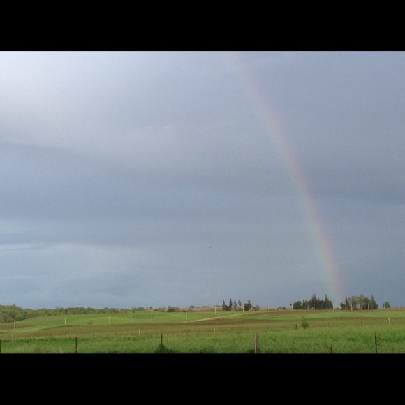 Meet your Posh Amabassador - Picture 4 of 4