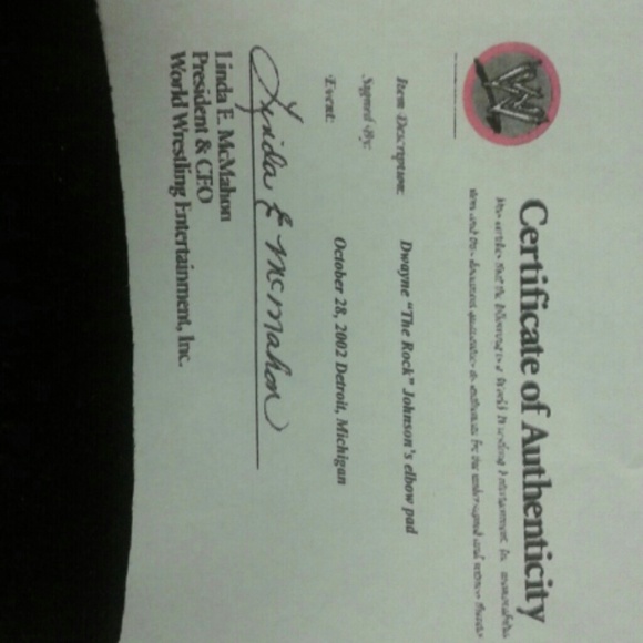 The rocks elbow pad from a match in 2002 - Picture 2 of 4