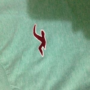 Men's Hollister T-shirt (Seafoam green)