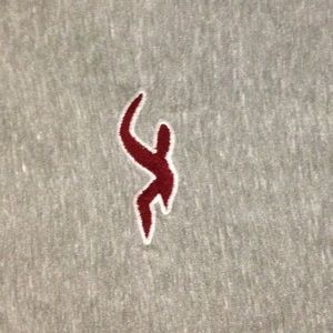 Men's Hollister T-shirt (grey)