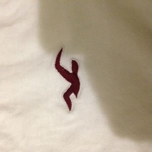 Men's Hollister T-shirt (White)