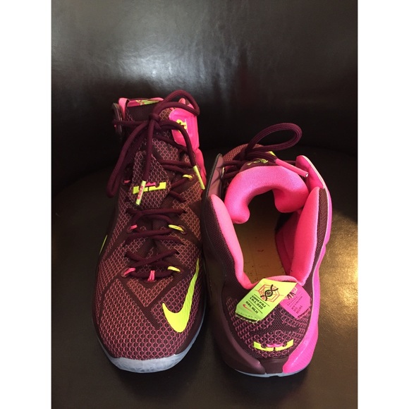 Nike LeBron 12